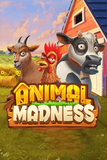 Animal Madness бесплатная демо игра | Вулкан Клуб без регистрации