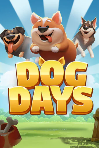 Dog Days бесплатная демо игра | Вулкан Клуб без регистрации