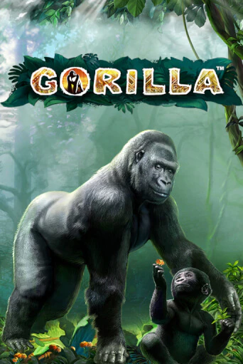 Gorilla бесплатная демо игра | Вулкан Клуб без регистрации