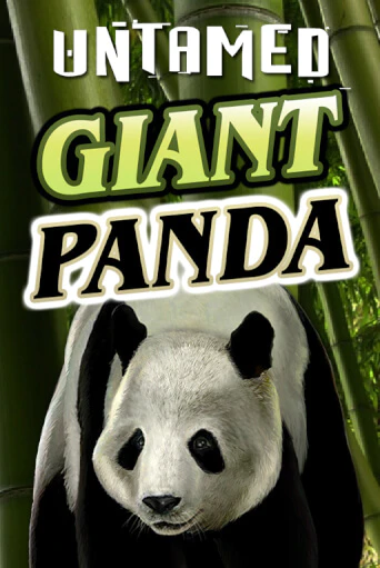 Untamed - Giant Panda бесплатная демо игра | Вулкан Клуб без регистрации